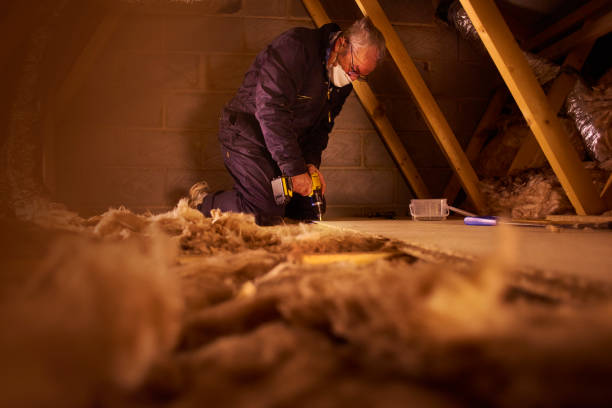 Best Insulation Materials and Products in Terrytown, LA